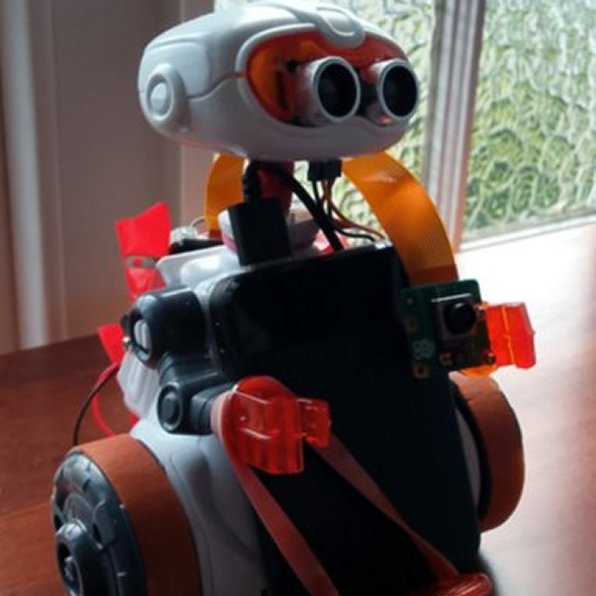 Robot